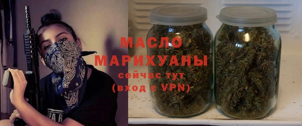 мдпв Богородск