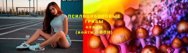 мдпв Богородск