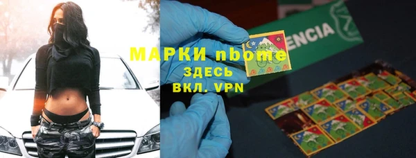 мдпв Богородск