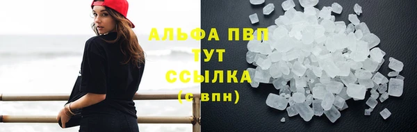 mdpv Белокуриха
