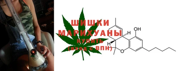 скорость Бикин