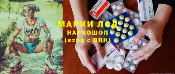 стафф Богородицк