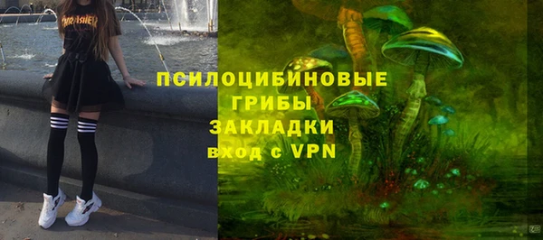 мдпв Богородск