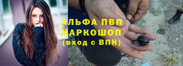 стафф Богородицк