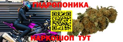 круглые Берёзовский