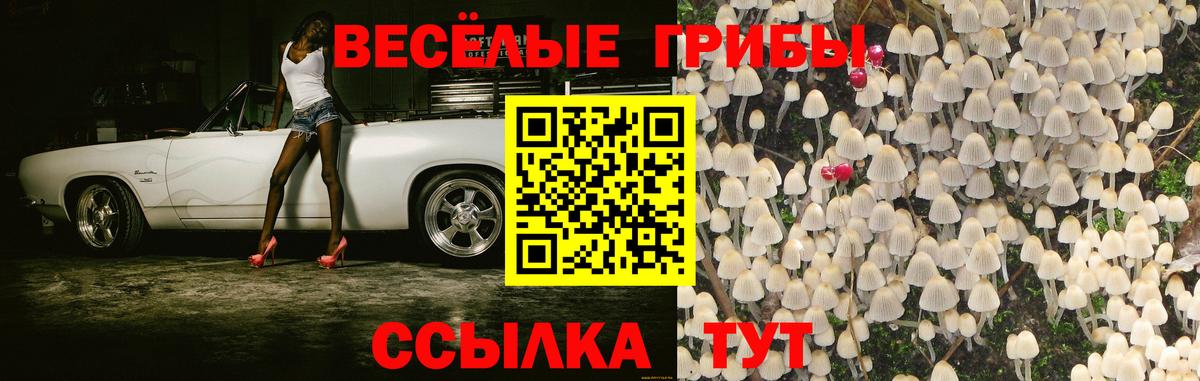 Псилоцибиновые грибы ЛСД  как найти наркотики  Воскресенск 