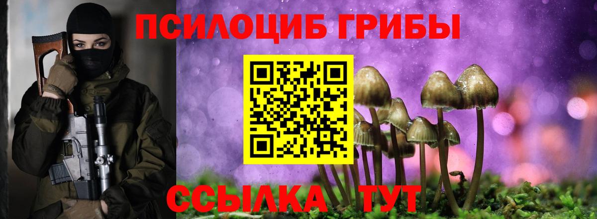 Псилоцибиновые грибы мицелий Воскресенск